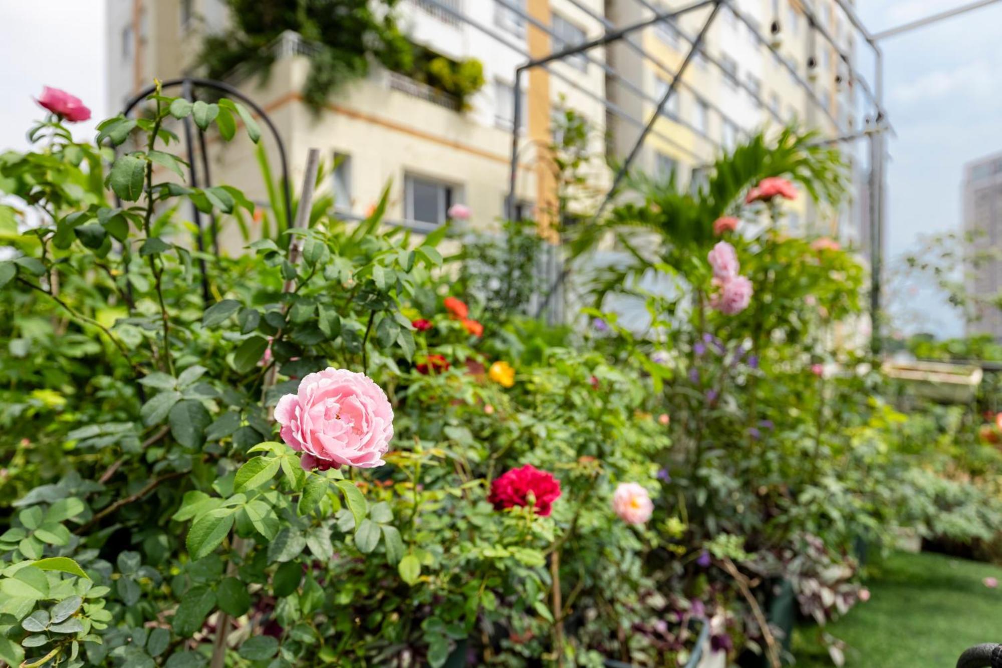Homey Apartment Ho Či Minovo Město Exteriér fotografie