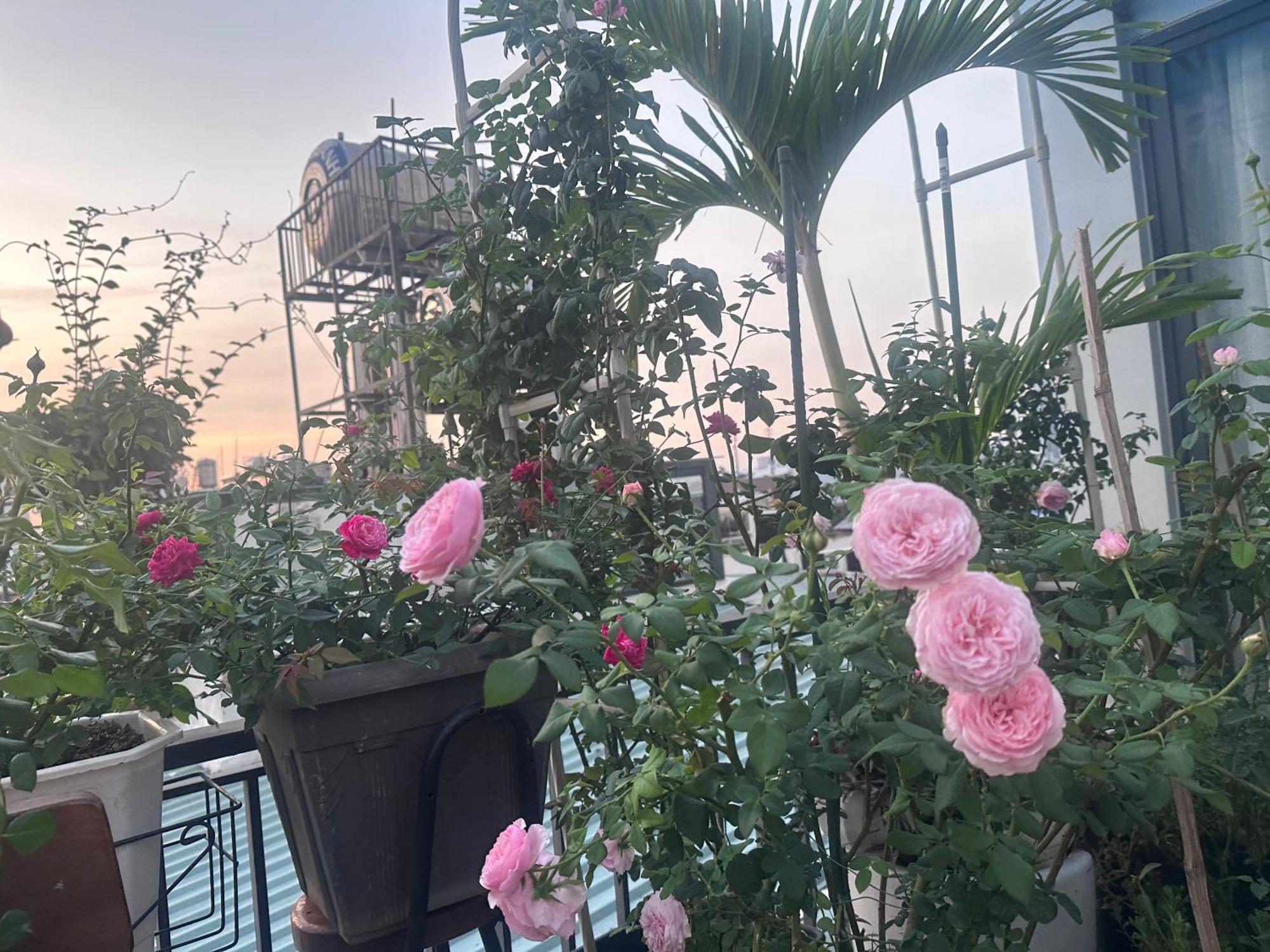 Homey Apartment Ho Či Minovo Město Exteriér fotografie