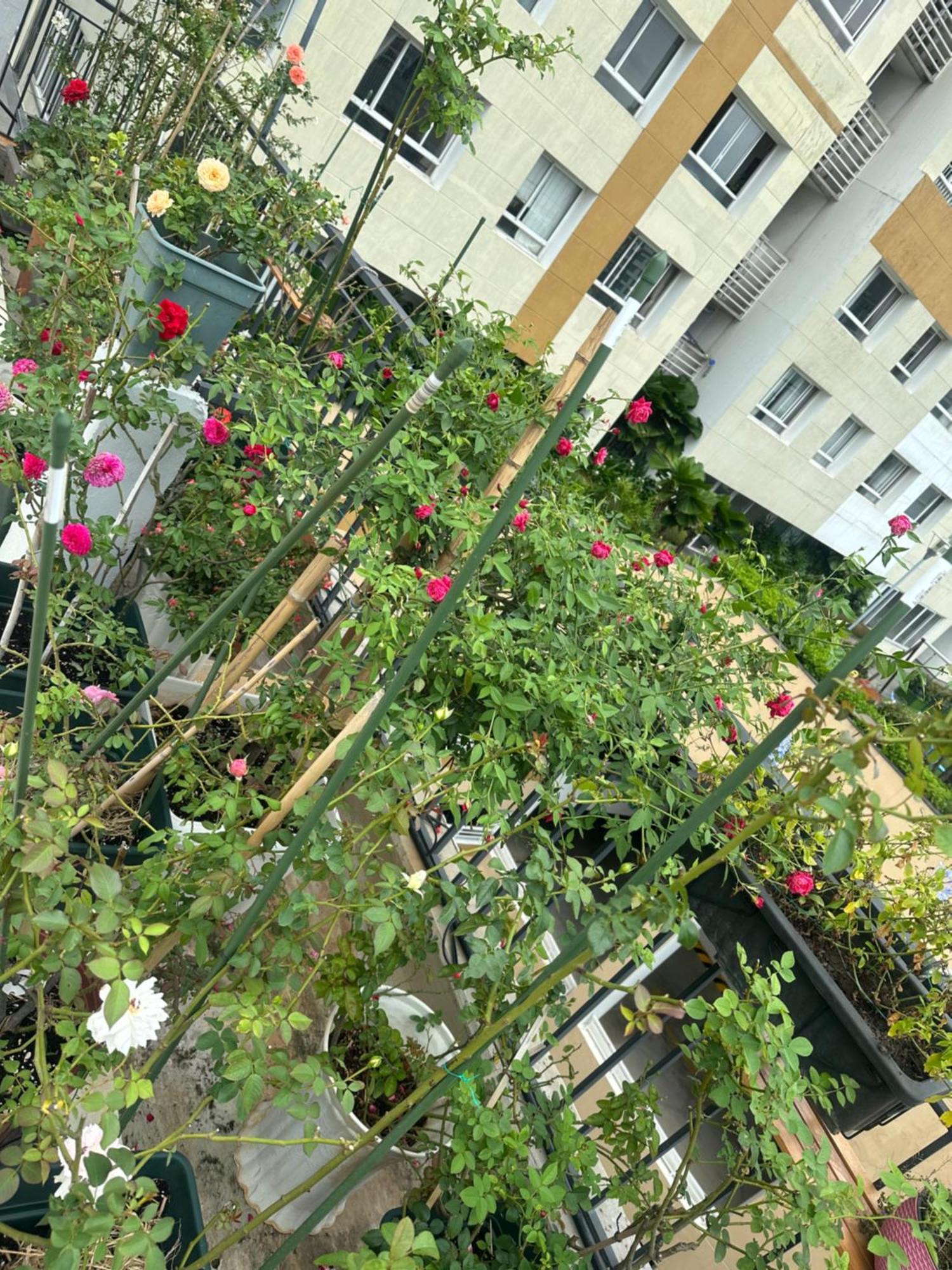 Homey Apartment Ho Či Minovo Město Exteriér fotografie